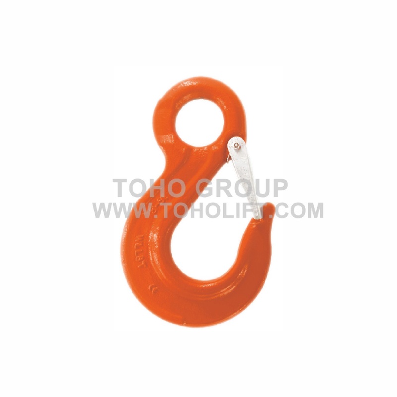 G80 Eye Sling Hook with Latch (TH-13)